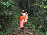 images_1